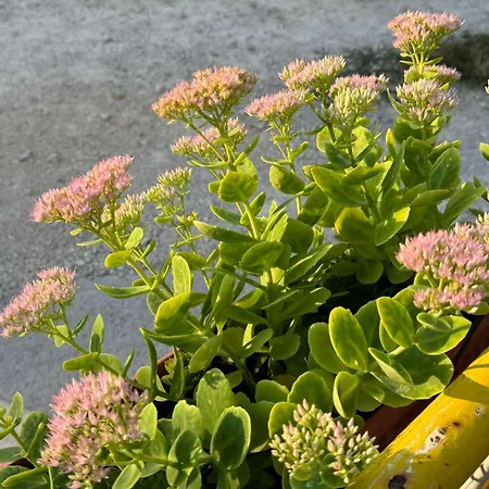 Family & Friends -free Parking Appartement