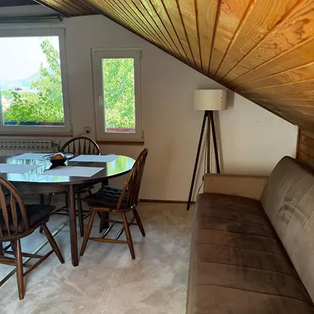 Family & Friends -free Parking Apartment Sarajevo