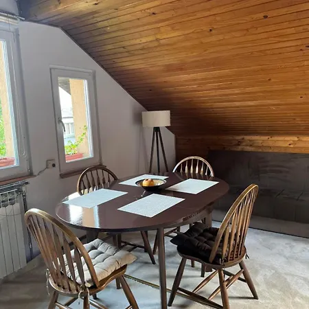 Family & Friends -free Parking * Sarajevo