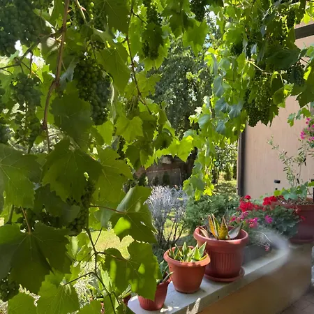 Family & Friends -free Parking Appartement Sarajevo