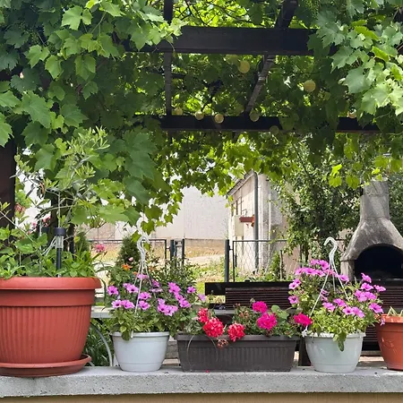 Family & Friends -free Parking Appartement Sarajevo